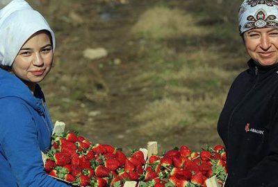 Çilek ihracatında yüzde 95’lik artış