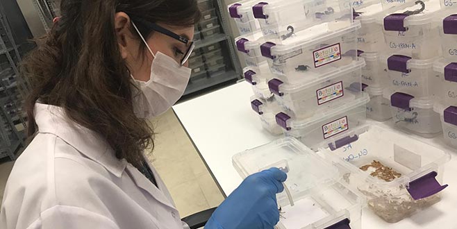 Litresi 10 milyon dolar