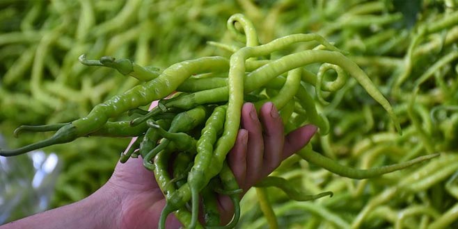 Ocak ayının zam şampiyonu çarliston biber