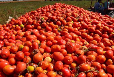 Tarımsal üretimde model olacağız