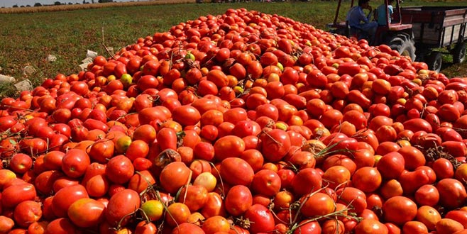 Tarımsal üretimde model olacağız