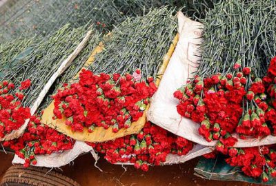 Çiçekçilerin hedefi 2019’da 85 ülkeye ihracat