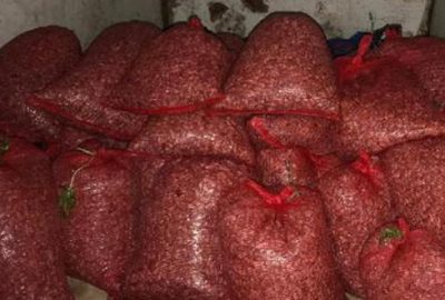 Bursa’da kaçak midye operasyonu