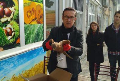 Yaralı şahin emin ellerde