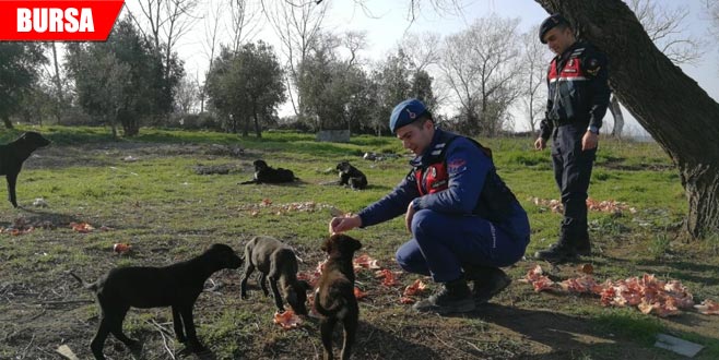 Jandarma!dan örnek davranış