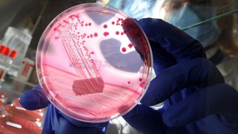 Meme kanseri hastalarına ‘genetik test’ önerisi