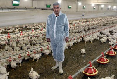 Emekli astsubay devlet desteğiyle çiftlik kurdu