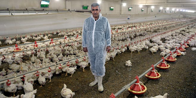 Emekli astsubay devlet desteğiyle çiftlik kurdu Emekli astsubay devlet desteğiyle çiftlik kurdu