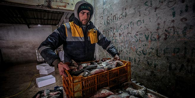 Irak ve Suriye’ye İsrail sazanı