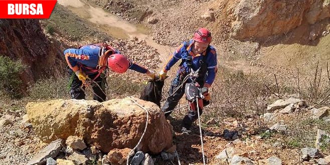 Yamaçtan yuvarlanan keçiyi AFAD kurtardı Yamaçtan yuvarlanan keçiyi AFAD kurtardı