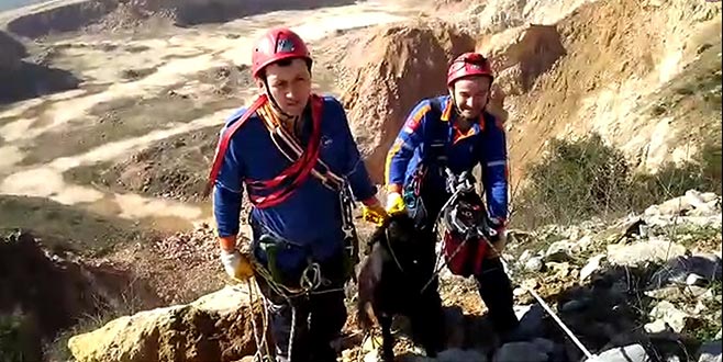 Yamaçta mahsur kalan keçiyi AFAD kurtardı Yamaçta mahsur kalan keçiyi AFAD kurtardı