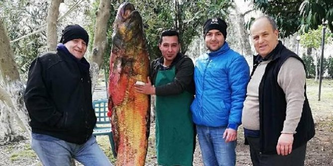 İznik Gölü’nde 105 kiloluk yayın balığı yakalandı İznik Gölü’nde 105 kiloluk yayın balığı yakalandı