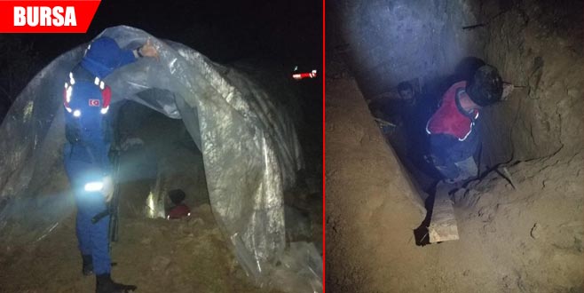 Sera çadırı içinde suçüstü yakalandılar