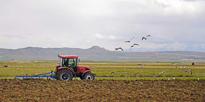 Bakan’dan çiftçiye müjde: Mazot derdi bitecek Bakan’dan çiftçiye müjde: Mazot derdi bitecek