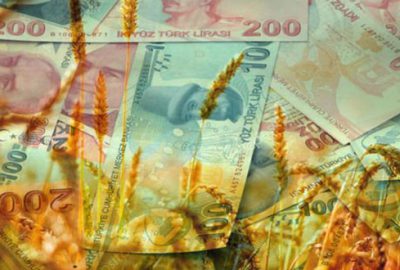 Tarım Bakanı’ndan buğday ve arpa üreticisine müjde