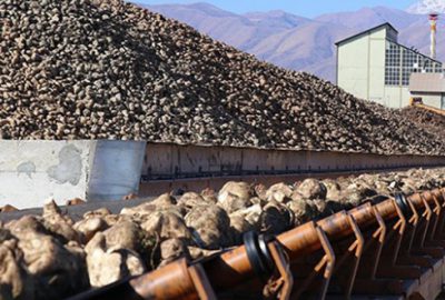 Pancarda sözleşme zamanı