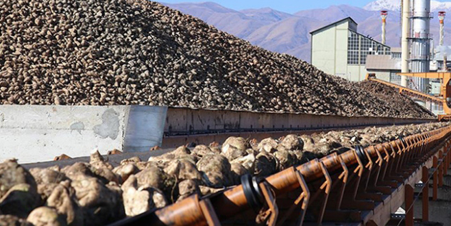 Pancarda sözleşme zamanı