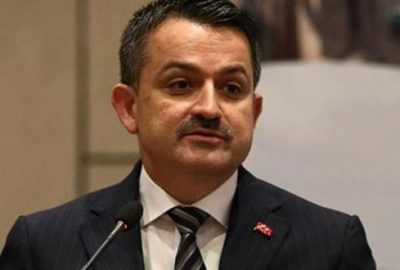 Bakan Pakdemirli: Yüzde 30 daha fazla ödeme yapılacak