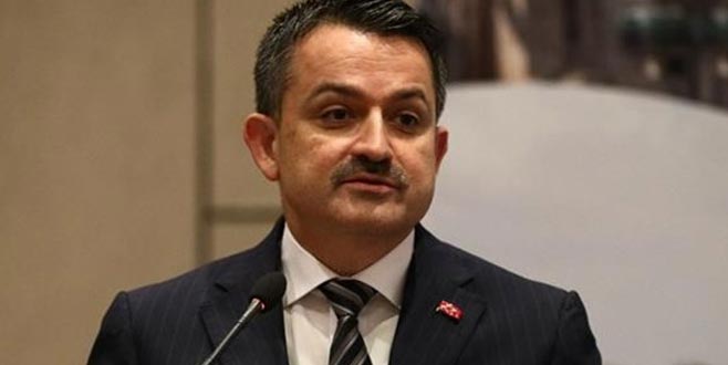 Bakan Pakdemirli: Yüzde 30 daha fazla ödeme yapılacak