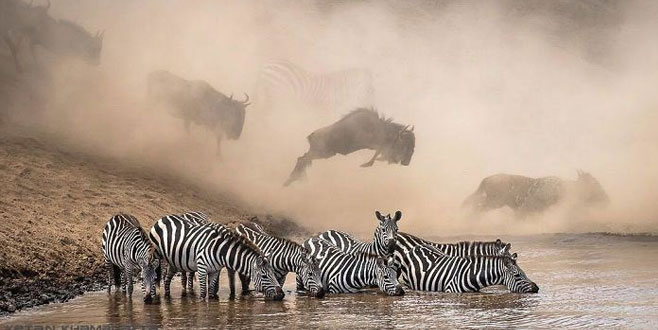 Instagram’ın en iyileri seçildi