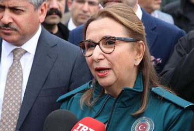 Pekcan: Zeytin Dalı Sınır Kapısı haftaya devreye girecek