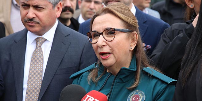 Pekcan: Zeytin Dalı Sınır Kapısı haftaya devreye girecek