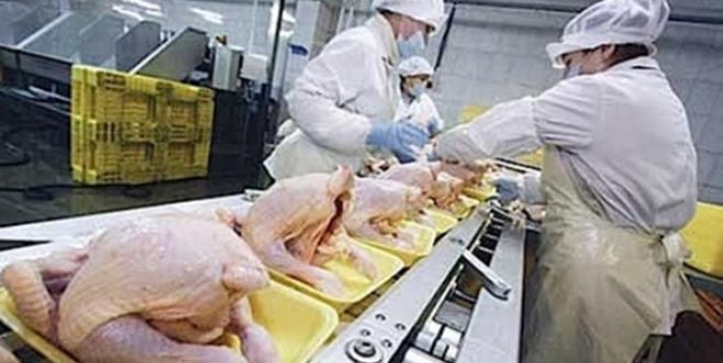 Piliç üreticilerine 156,7 milyon TL ceza