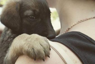 Bursalı oyuncu: Kimsenin öpemeyeceği yaralar vardır