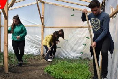 Okul bahçesinde meyve sebze yetiştiriyorlar