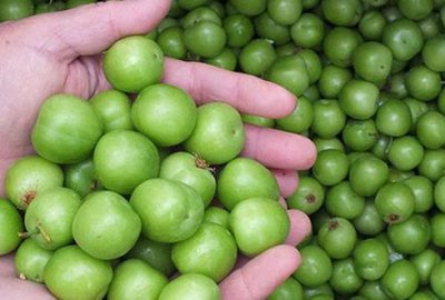 Eriğin kilosu 500 TL’den 200 TL’ye düştü