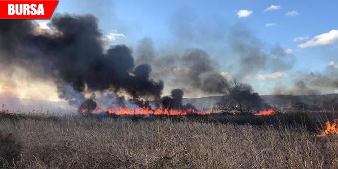 Yangın paniği! Yerleşim yerlerine ilerliyor… Yangın paniği! Yerleşim yerlerine ilerliyor…