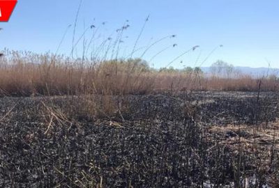 Saatler sonra söndürülen yangında 120 dönüm kül oldu