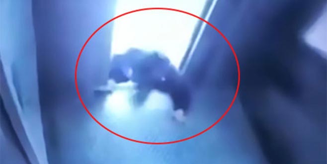 Asansörde korku dolu anlar! Bir anda hareket etti