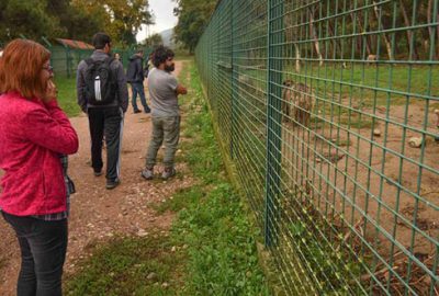 Eskikarağaç turist akınına uğruyor