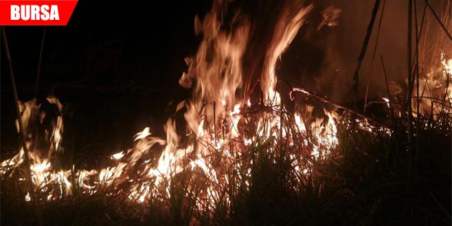 Korku dolu anlar! Sazlık alanda yangın