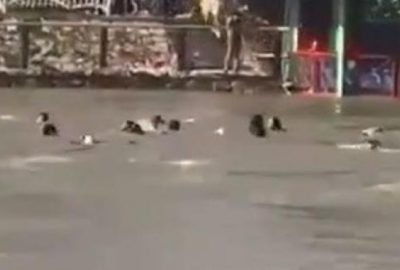 Irak’ta facia! Dicle Nehri’nde tekne battı: En az 40 ölü