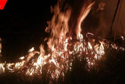 Korku dolu anlar! Sazlık alanda yangın