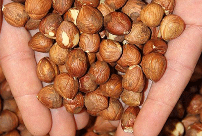 Ferrero Türkiye’ye yatırım yapacak