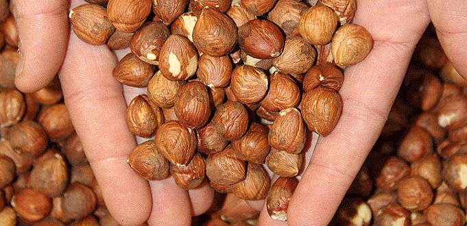 Ferrero Türkiye’ye yatırım yapacak