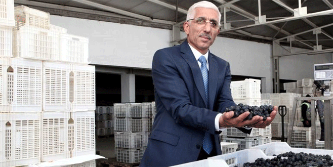 Marmarabirlik’te hedef 40 bin ton satış