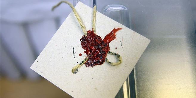 Bursa İznik’te AK Parti’li Usta kazandı