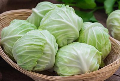 Martta en fazla lahana zamlandı