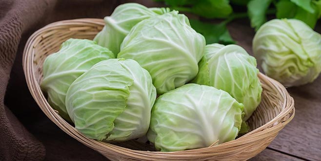 Martta en fazla lahana zamlandı