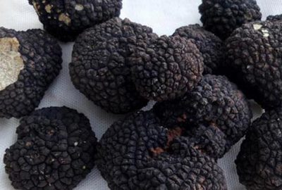 Yurt dışına kaçırırken yakalandı! 60 bin lira ceza kesildi