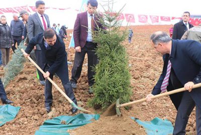 Suça karışanlar fidan dikiyor