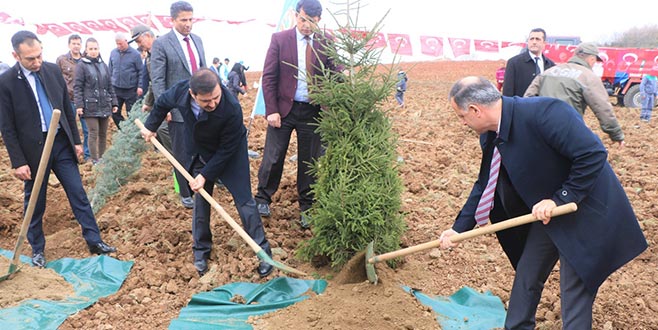 Suça karışanlar fidan dikiyor Suça karışanlar fidan dikiyor