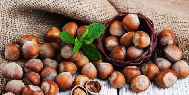 Fındıkta alternatif pazarlar aranıyor Fındıkta alternatif pazarlar aranıyor