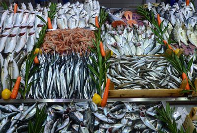 Av yasağı 1 Nisan’a çekilsin