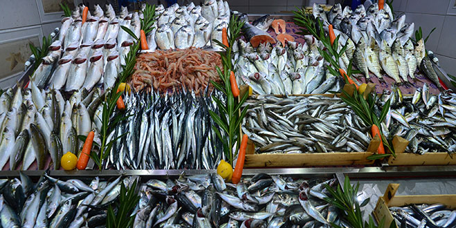 Av yasağı 1 Nisan’a çekilsin