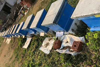 İnegöl’de arı ölümleri korkutuyor